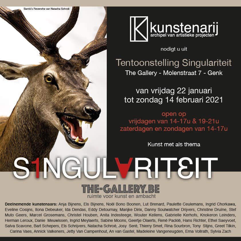 SINGULARITEIT